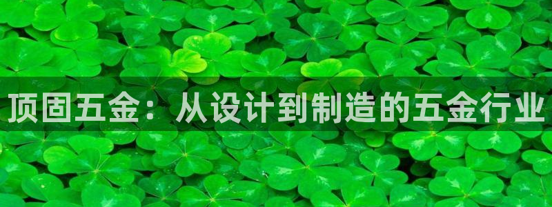 天宏娱乐秦叔
